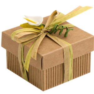 Kraft Gift Boxes